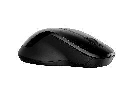 HP 250 Dual Wireless Mouse